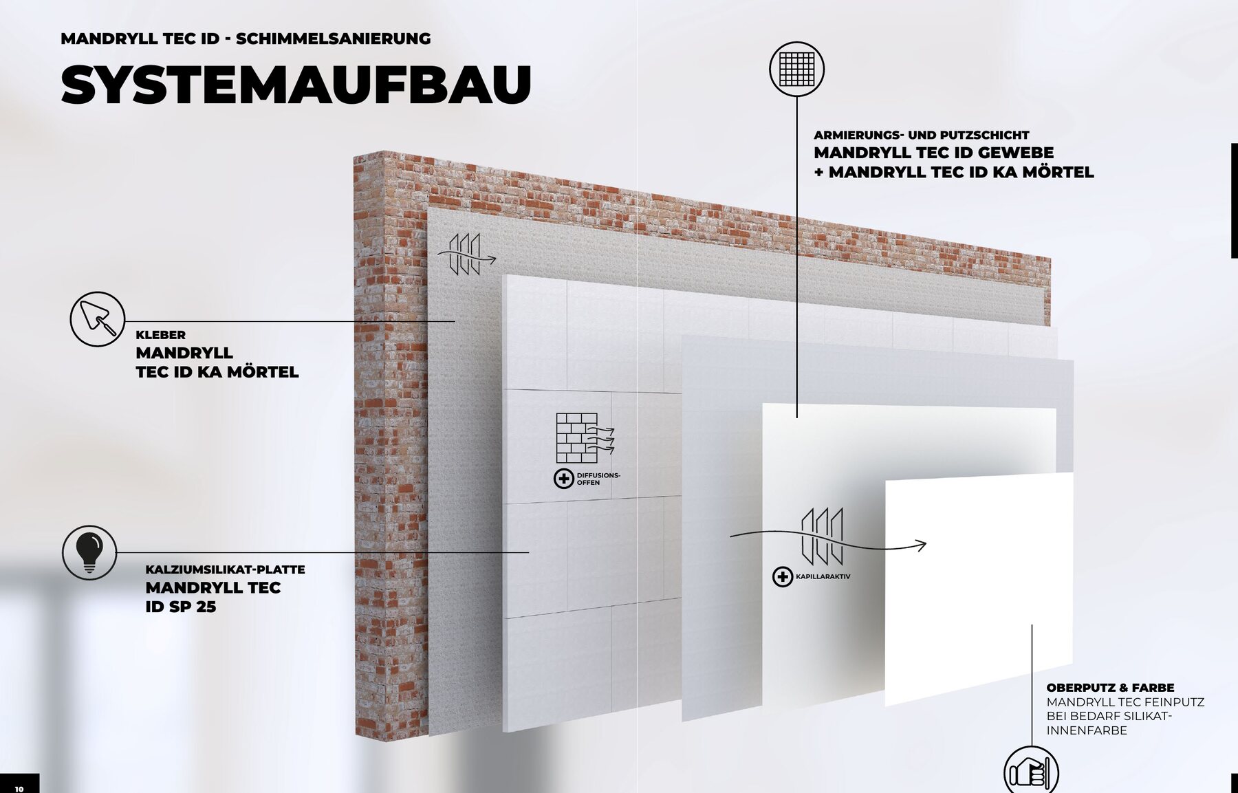 Systemaufbau Schimmelsanierung
